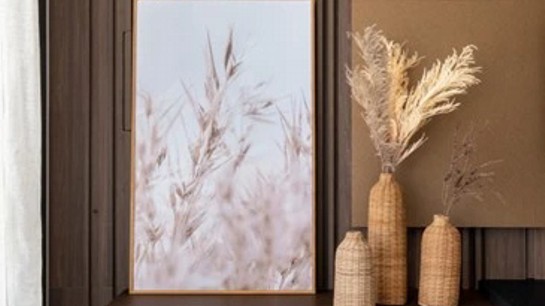 As cores têm o poder de despertar diferentes emoções e sensações